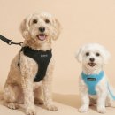 북광주동물약국 이미지