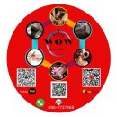 토탈라인시스템 | 2026년 파타야 마사지 추천 – 와우토탈케어 4핸드 시스템 실제 후기 (파타야 최고의 토탈 케어)