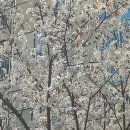 건영에너지 태양광발전소 이미지