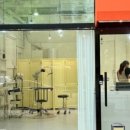 애견깍새 이미지