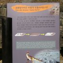 화순 여행 (和順 旅行). 서유리(西酉里) 공룡(恐龍) 발자국 化石. 이미지