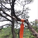 둘레길바베큐장 이미지