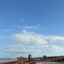 정다운 123회차 무안 황토갯벌랜드 탐방(11/16) 이미지