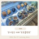 킴보루트플랜트 | 사장님의 취향이 가득한 경기광주 카페 '루트플랜트' 내돈내산 후기