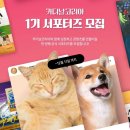 로디너스 | 25년 12월 1주차, 반려동물 관련 이벤트 / 체험단 / 행사 정보