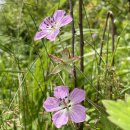 삼라만상 이미지