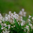 선리치골프클럽 이미지