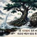 육신 상생식으로 내 진짜 재능과 행복 찾기[마산 창원철학관]