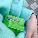 봄 끝물, 갑분 입술필러로 신난 4월 둘째주 일상사진