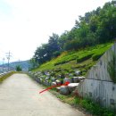 옥포초등학교 이미지