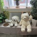 전포 조용한 카페 마들렌맛집 카페클릭 cafe click