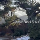 고송재 이미지