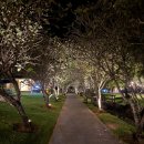 호텔 그랜드 | 마나도 그랜드 룰리 호텔 조식 후기