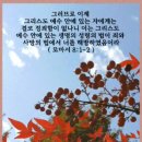 변찮는 주님의 사랑과 이미지