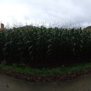 강림면사무소 이미지