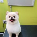 멍했냥 평택본점 이미지