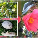 동백운수 이미지