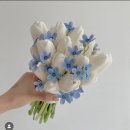 [Wedding #13] 10월 본식 부케 후기: 별툴립 은방울 부케💐