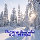 Jim Reeves의 Snowflake 이미지