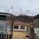 한실황토민박집 | 밀양 하남읍 아모르 힐링민박, 밥주는 황토민박에서 보낸 1박 2일 가족여행