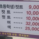 머리 못하는 집 이미지