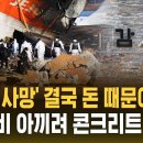 '179명 사망' 결국 돈 때문이었나 "공사비 아끼려 콘크리트 둔덕" (자막뉴스) / SBS 이미지