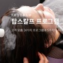 탑스칼프분당점