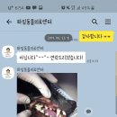 하임동물의료센터 이미지