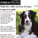 (주)견공 이미지