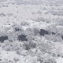 (주)레이넷 이미지