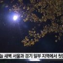 첫눈 이미지
