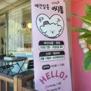 애견살롱 씨몽 이미지