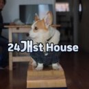 개스트하우스다냥 이미지