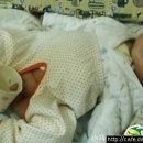 인보농장 이미지