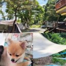 홍천펜션&글램핑캠프별이빛나는밤 이미지