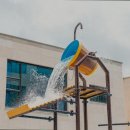 킹콩키즈 네이버블로그