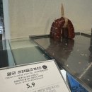 씨유 제주남조로점 | [JNU] 7/8~7/11
