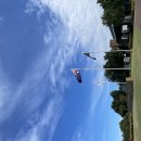 TRUE GOLF | 멜번 샌드허스트 골프장 라운딩 후기 명문 코스 Sandhurst Golf Club 경험기