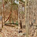 마감산산림욕장화장실 이미지