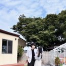 라이프마크 구매대행 | 마크모크 테라 샌들 솔직후기｜발편한 샌들 족저근막염·평발도 편한 여름 샌들 추천, 무신사 블프 블랙...