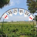 별농장 이미지