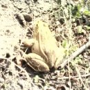 고향농장 이미지