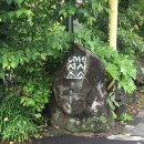 나우커피고성 | jeju 7) 영원히 마르지 않는 빨래 / 추천 산책 코스 비자림 🌲