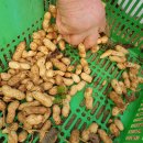 요선농장 이미지