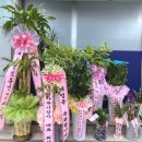 신도OA 이미지