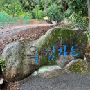 족발야시장 옥정점 | [대전] 1박2일 대전 가족 여행 코스/성심당/중앙야시장/계족산황톳길