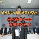 부산상가나라부동산중개 | 부산 상가나라 부동산중개 신입 공인중개사 모집!