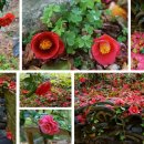 충렬사 유물전시관 이미지