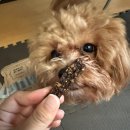 (주)몽스파 이미지