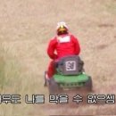 메아트